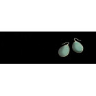 Des boucles d'oreilles